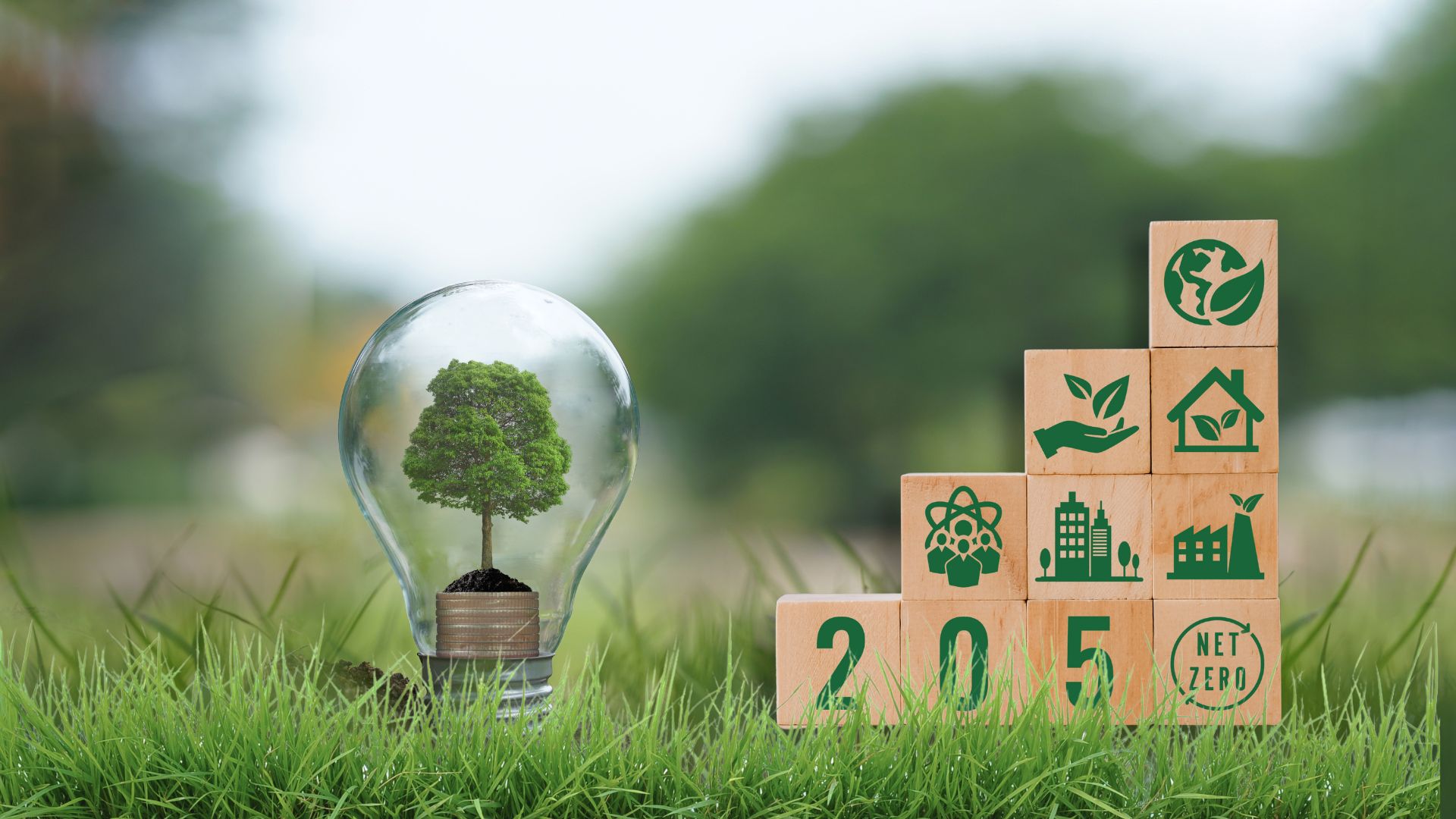 climate neutrality by 2050
