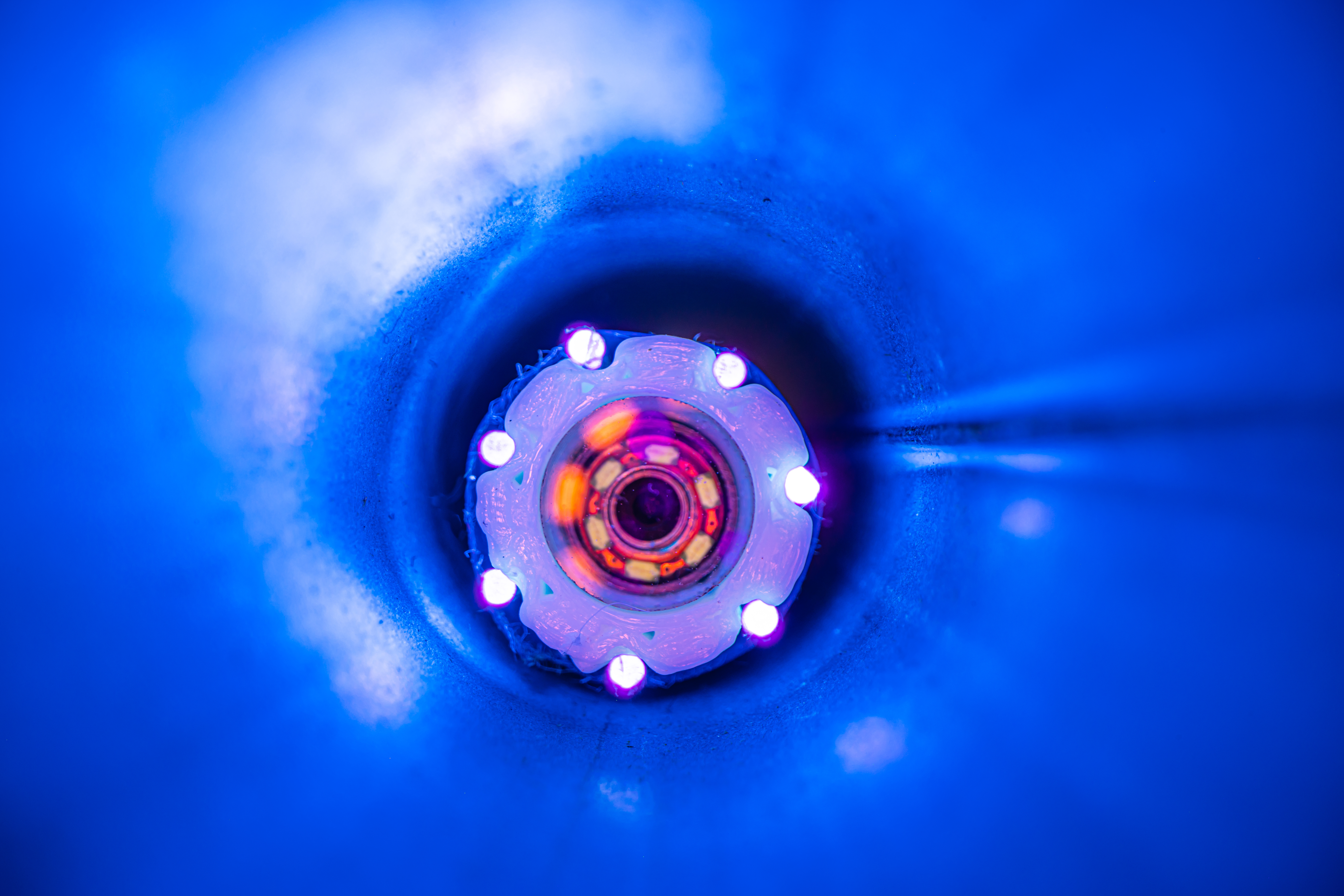 The Pipe Dream: Pipelines for Hydrogen Fuel Transportation