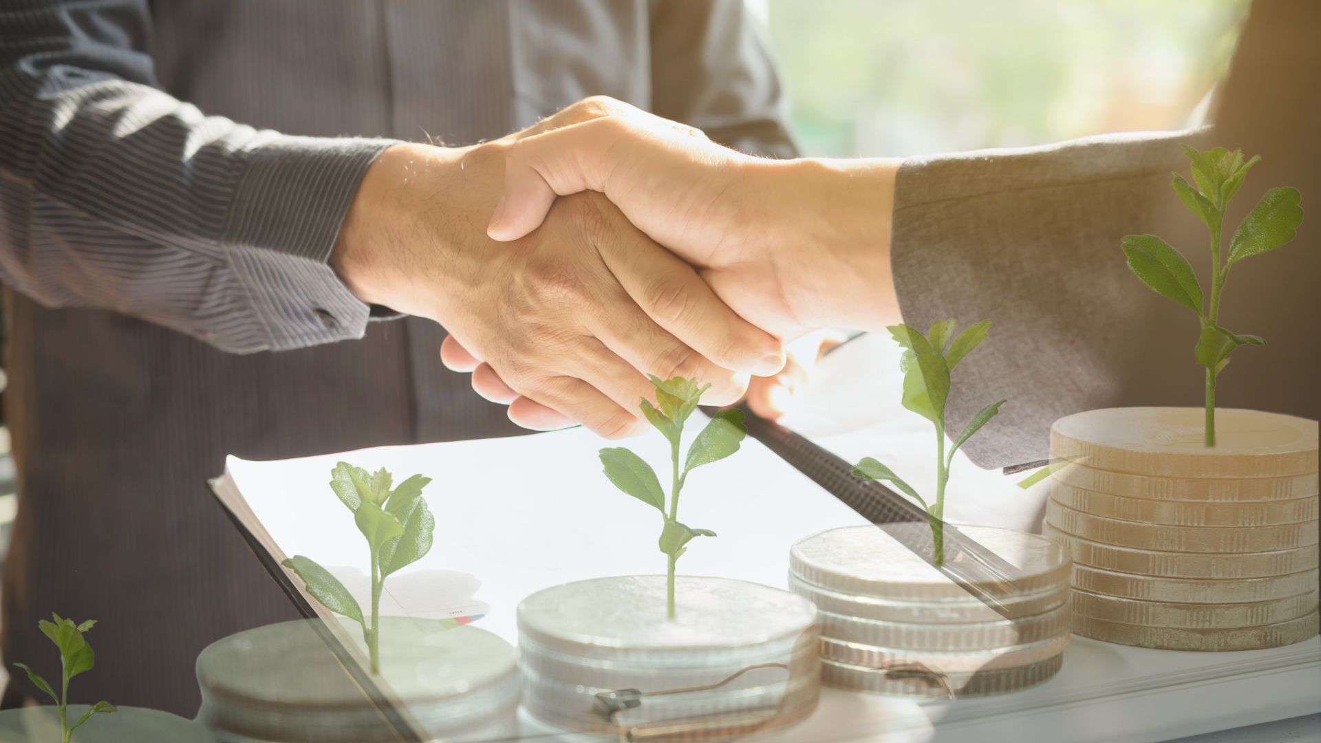 Funding and Strategic Partnerships