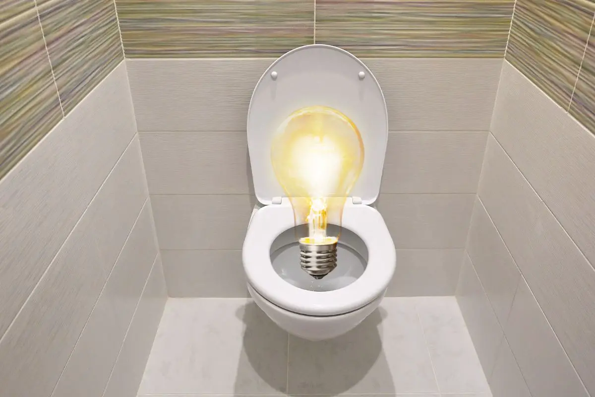 Clean Energy - Toilet - Power