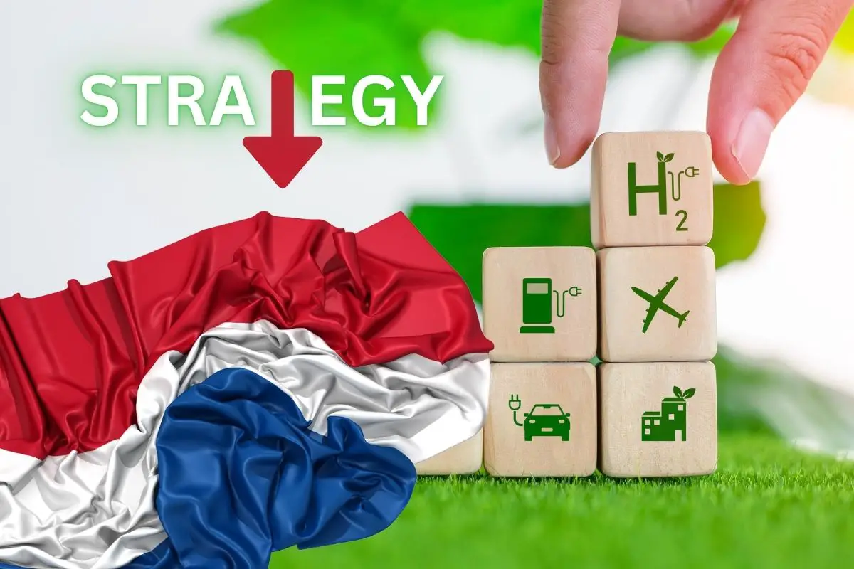 The Netherlands’ green hydrogen strategy isn’t keeping up - H2 News