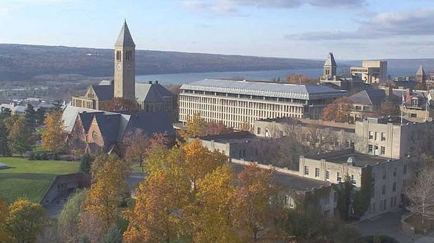 Cornell researchers develop microfluidic fuel cell - Hydrogen Fuel News