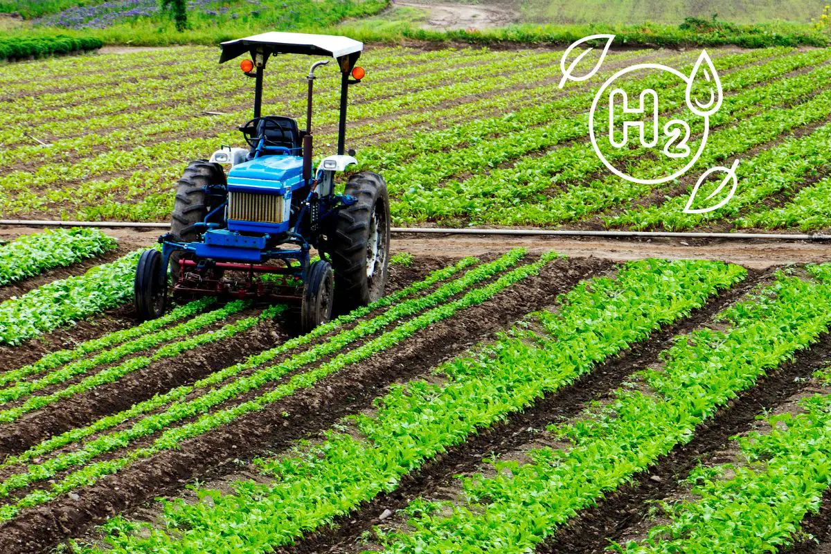 The US hydrogen agriculture trend is growing, and it’s not as weird as it might sound - H2 News
