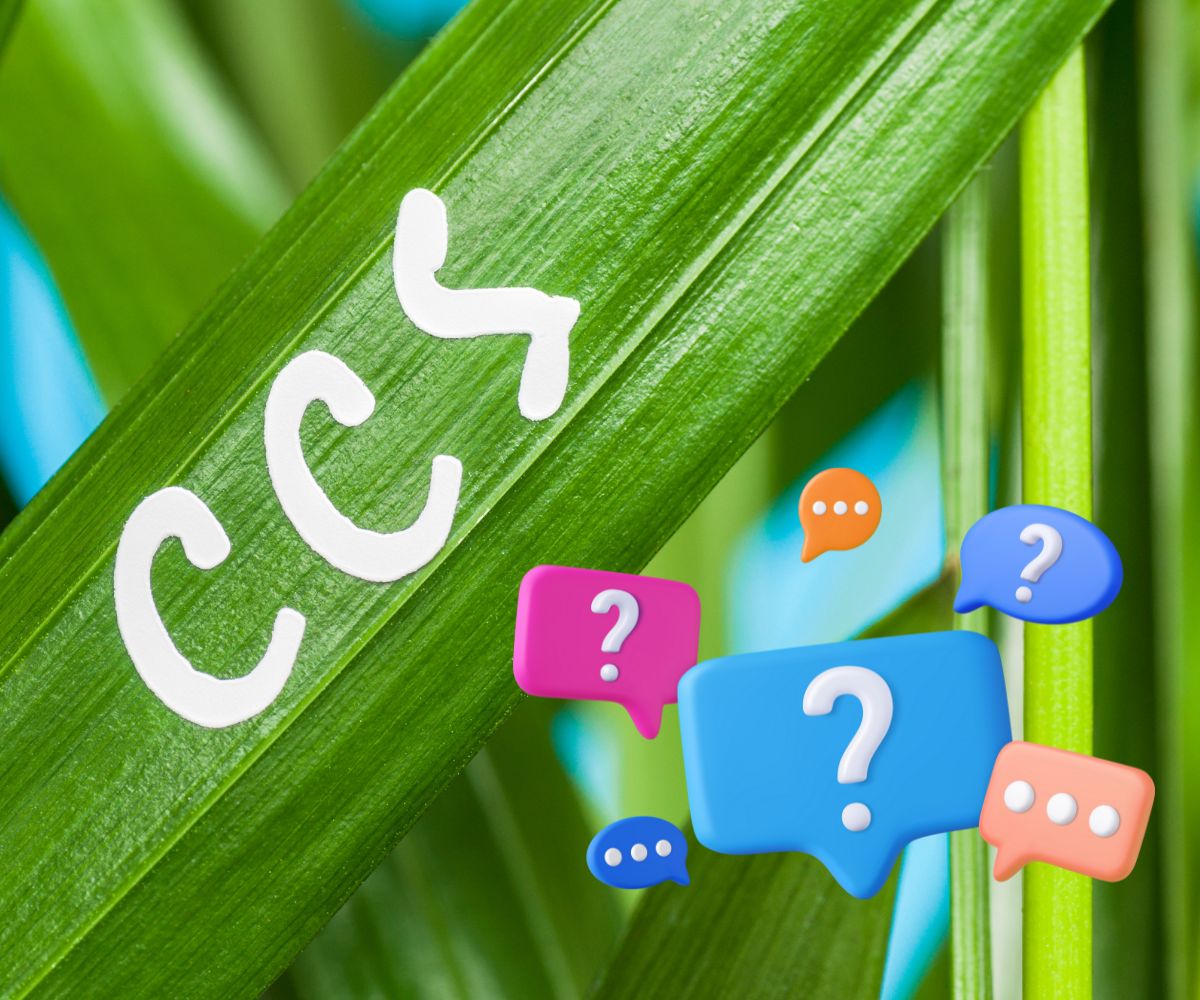Can carbon capture make gray H2 into clean hydrogen? - H2 News