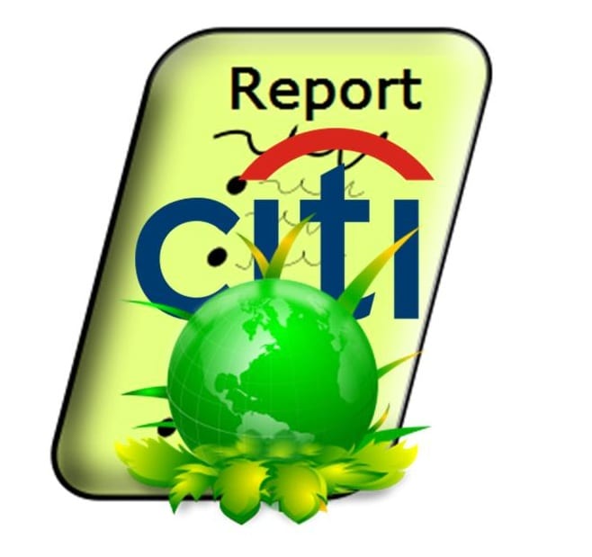 Citigroup Renewable Energy Report Citigroup Renewable Energy Report