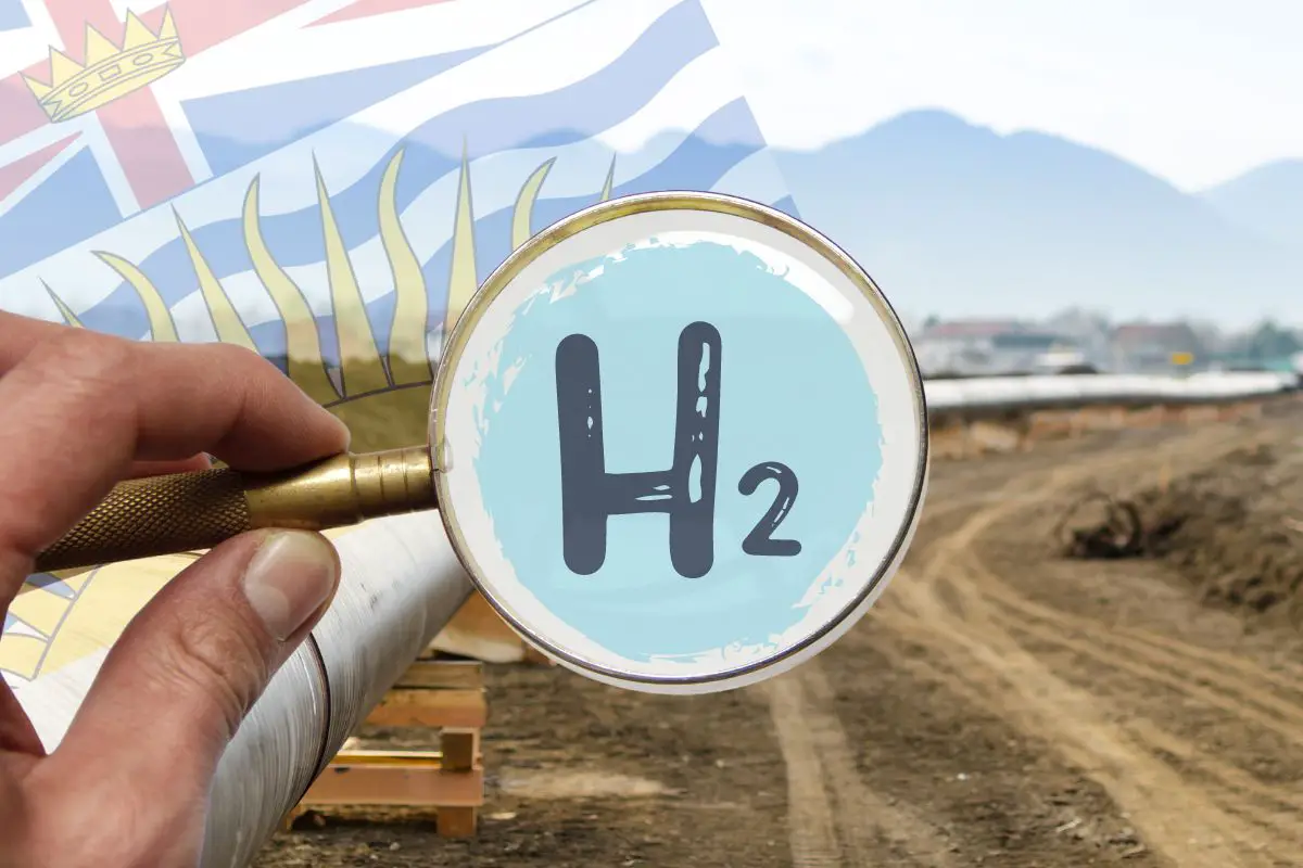 hydrogen blending potential examined by DNV - H2 News