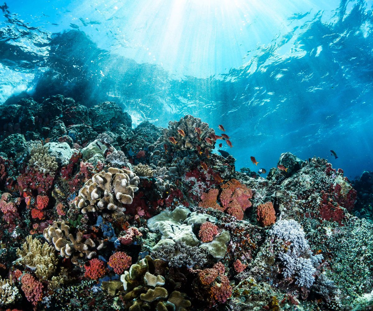 what is a biological diversity heritage sites