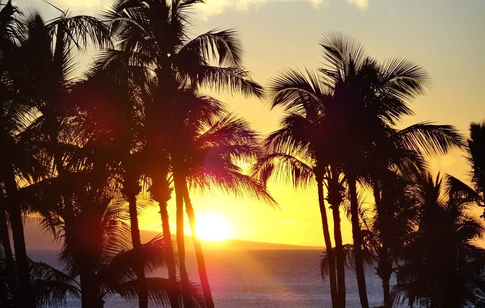 Hawaii passes law to support the Paris Agreement to fight climate change