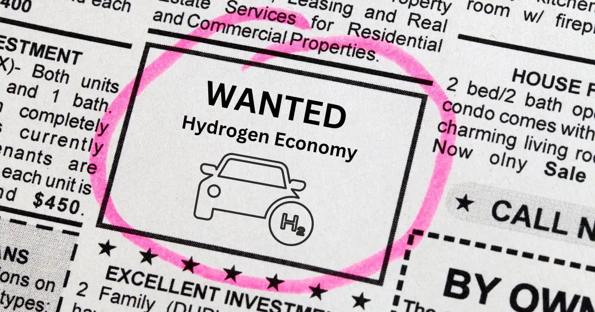 What exactly does a hydrogen economy mean?