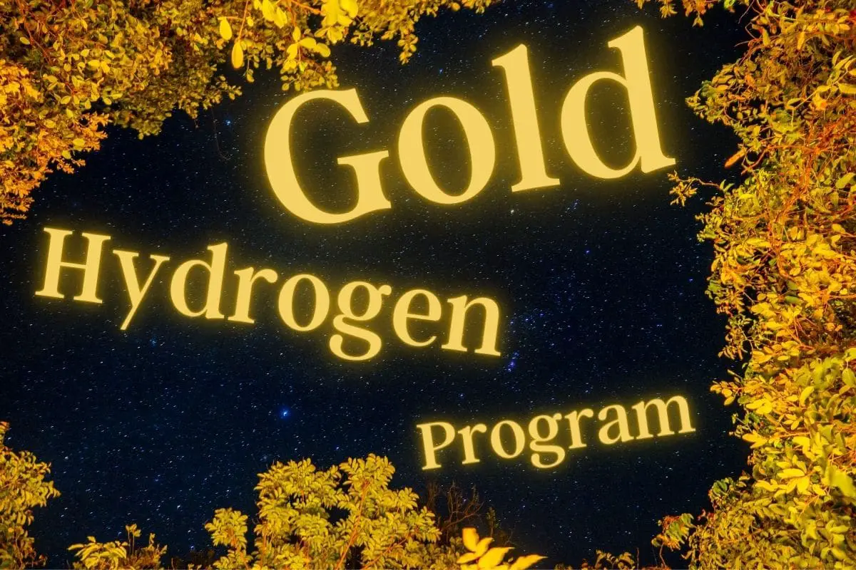 Cemvita unveils new gold hydrogen fuel program to pilot new production process - H2 News