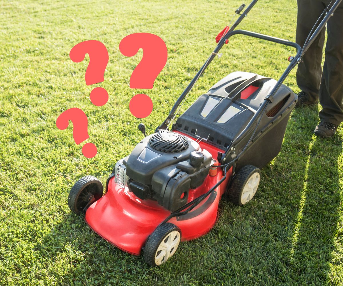 Gas Rotary Mower Engines: Operating Principles and Common Failures %page% %sep% %sitename%