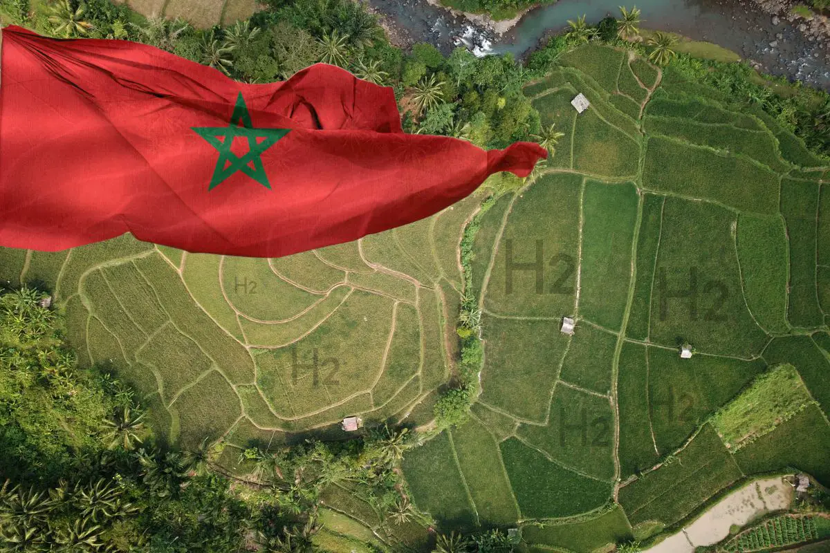 Green hydrogen projects in Morocco need land, government offers 1 million hectares - H2 News