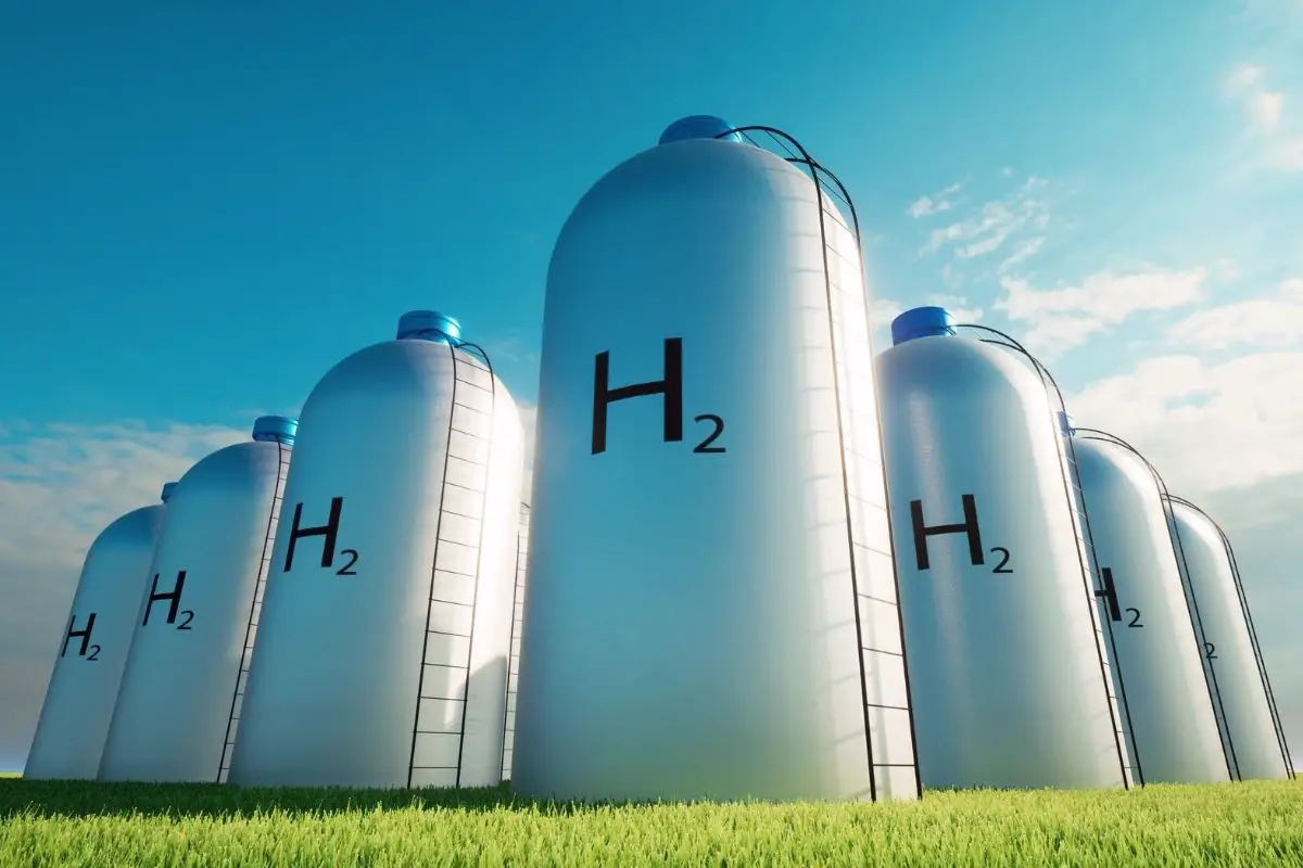 Green hydrogen hubs to replace German liquid natural gas terminals - H2 News