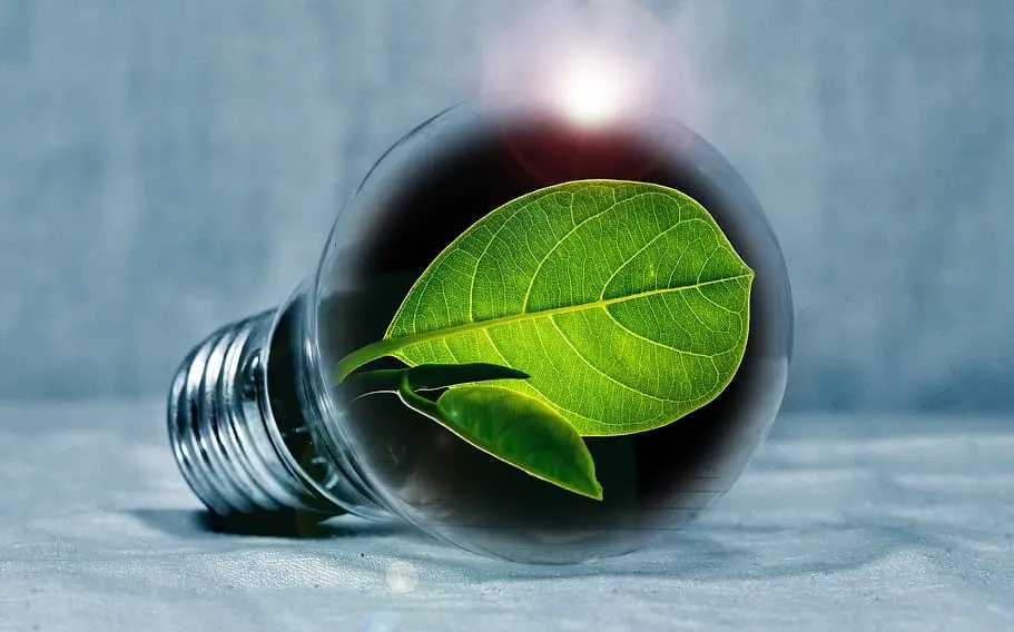 New biofuel production technique could reduce fuel-related CO2 emissions