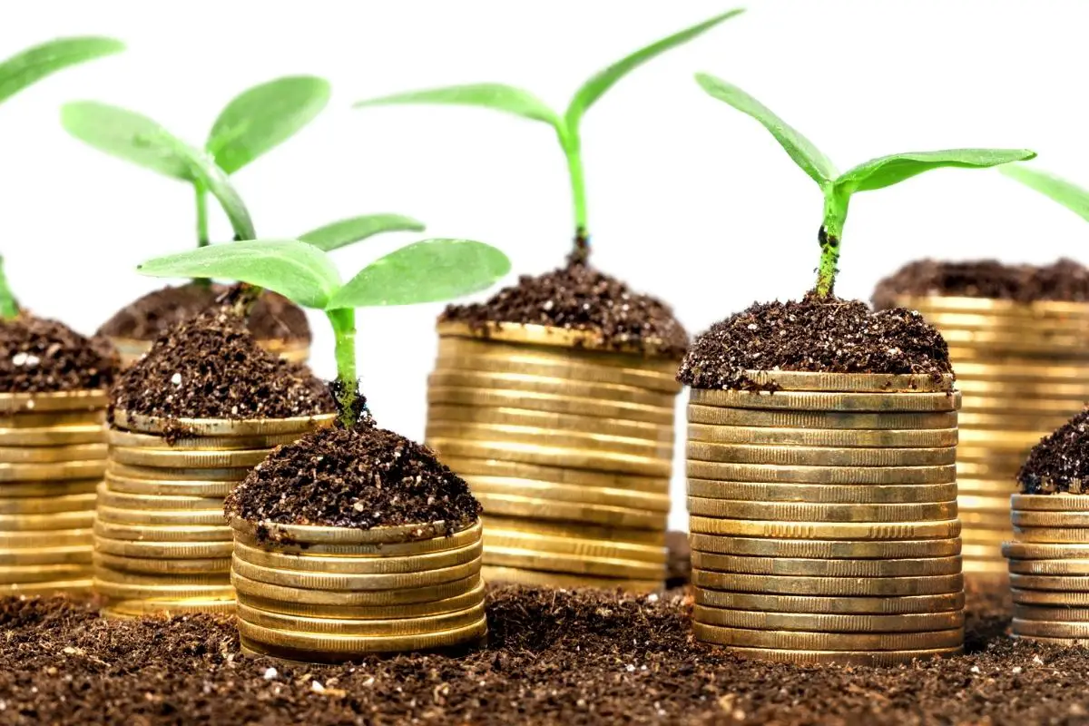 Multi-billion Green hydrogen investment comes from Spanish consortium - H2 News
