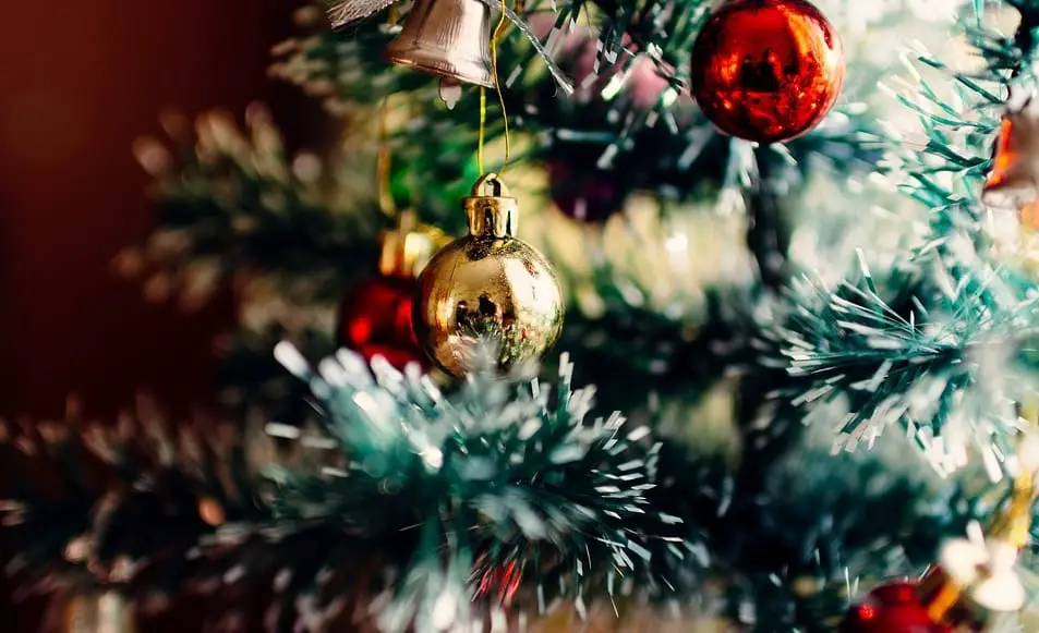 Artificial or real: Which is the more eco-friendly Christmas tree?