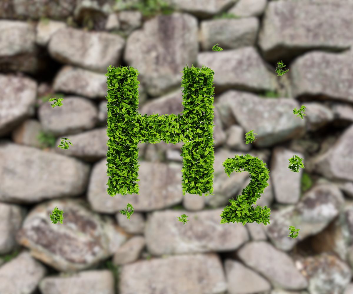 Green Gold Rush: Rising Investments in Geologic Hydrogen - Hydrogen News