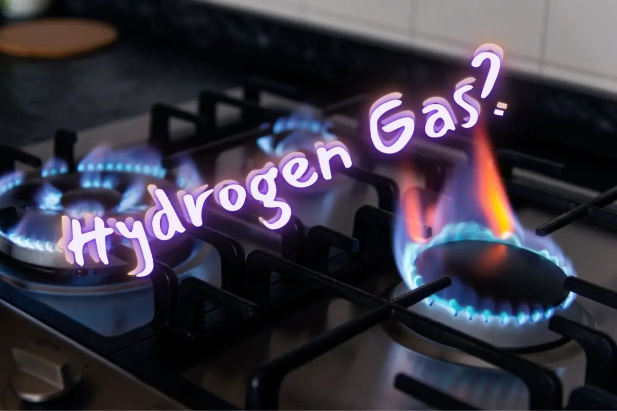 Will hydrogen gas become a home cooking fuel? Hydrogen News