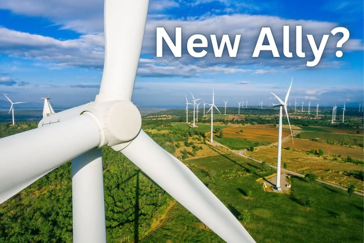 Wind Energy’s Tumultuous Journey Finds Respite in an Unlikely Ally - H2 News