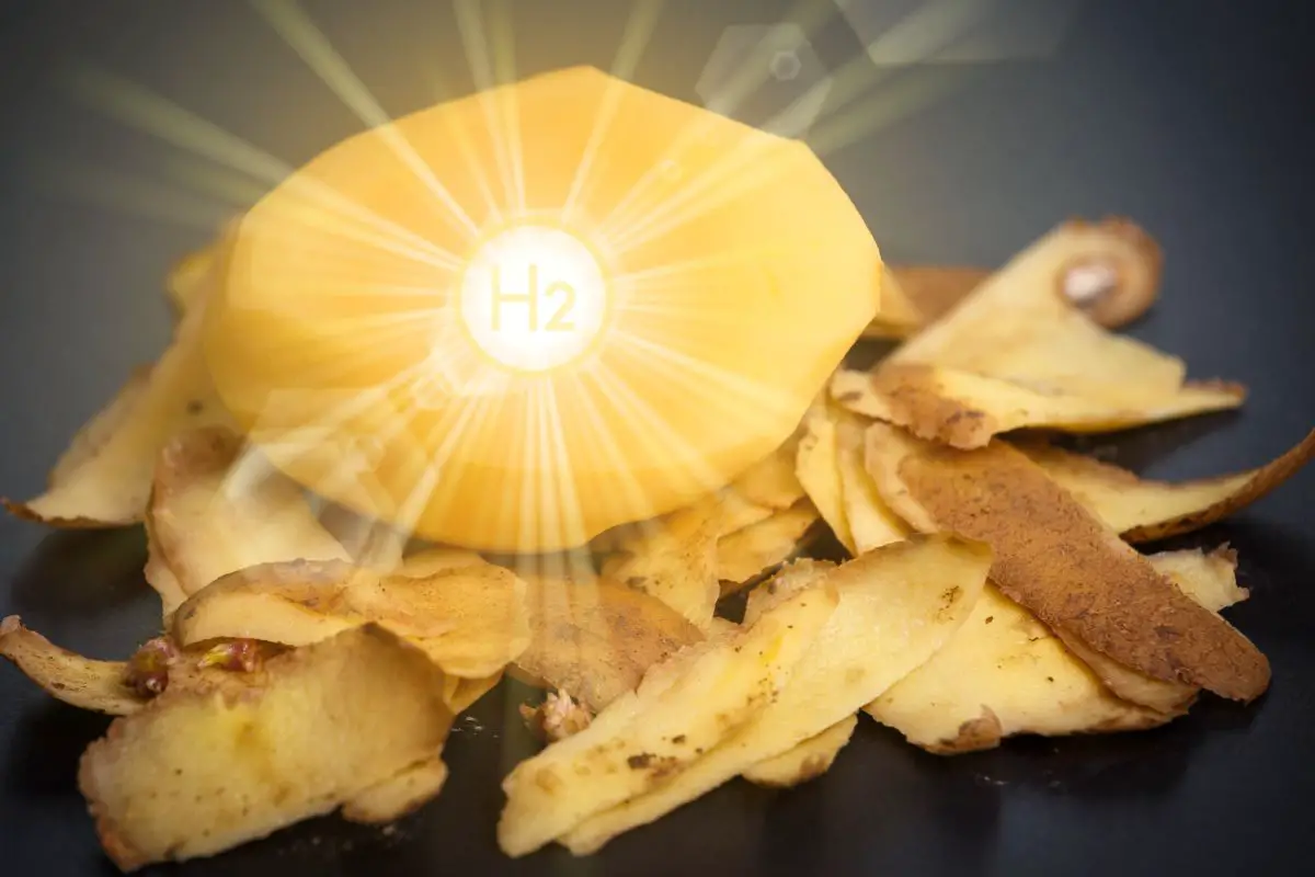 Potato waste used in new hydrogen production research in P.E.I. - H2 News