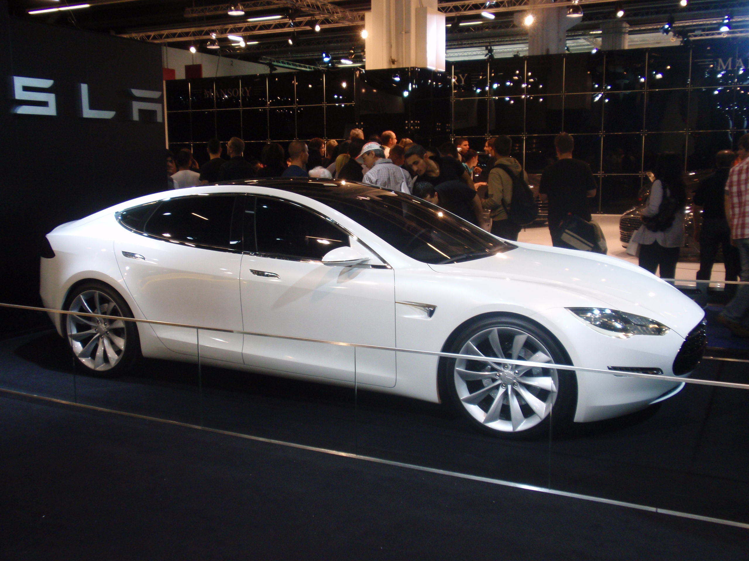 Tesla Model S Electric Vehicles