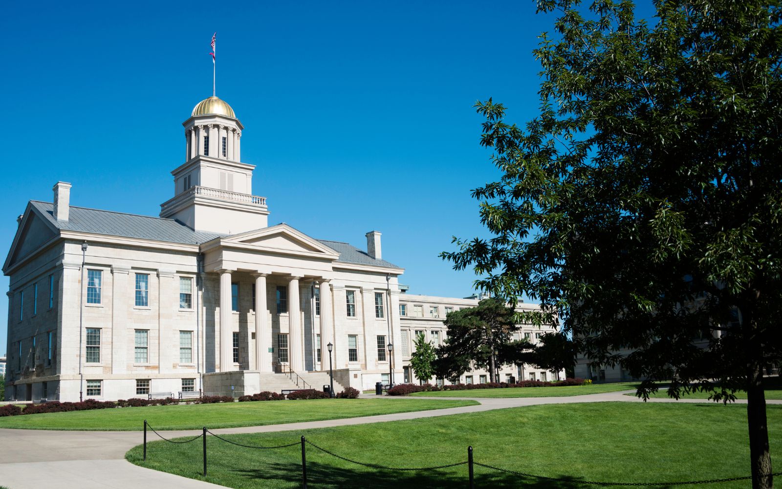 What University of Iowa is doing green