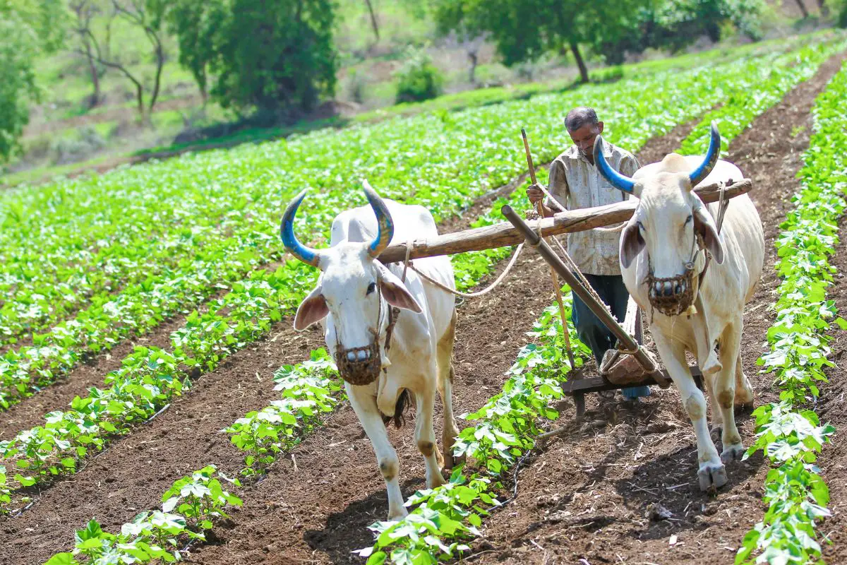 Indian farmers to produce hydrogen fuel, says Minister for Road Transport - H2 News
