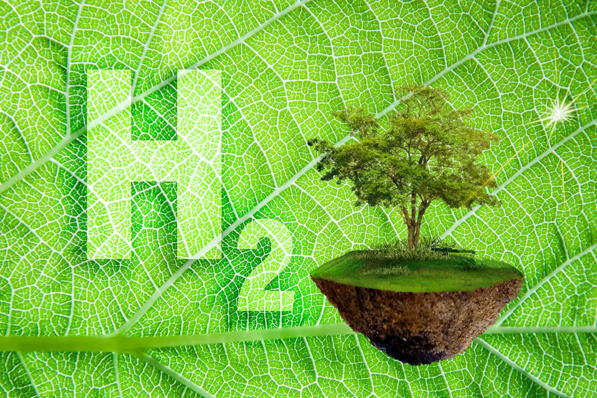 The Role of Earth-Abundant Catalysts in Making Green Hydrogen Even Cleaner - H2 News
