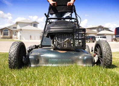 Let Your Grass Grow: Save Water - Hydrogen Fuel News