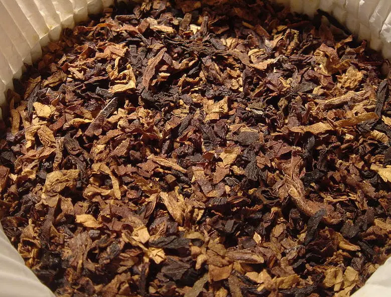 Tobacco is a powerful biofuel - Alternative Energy News