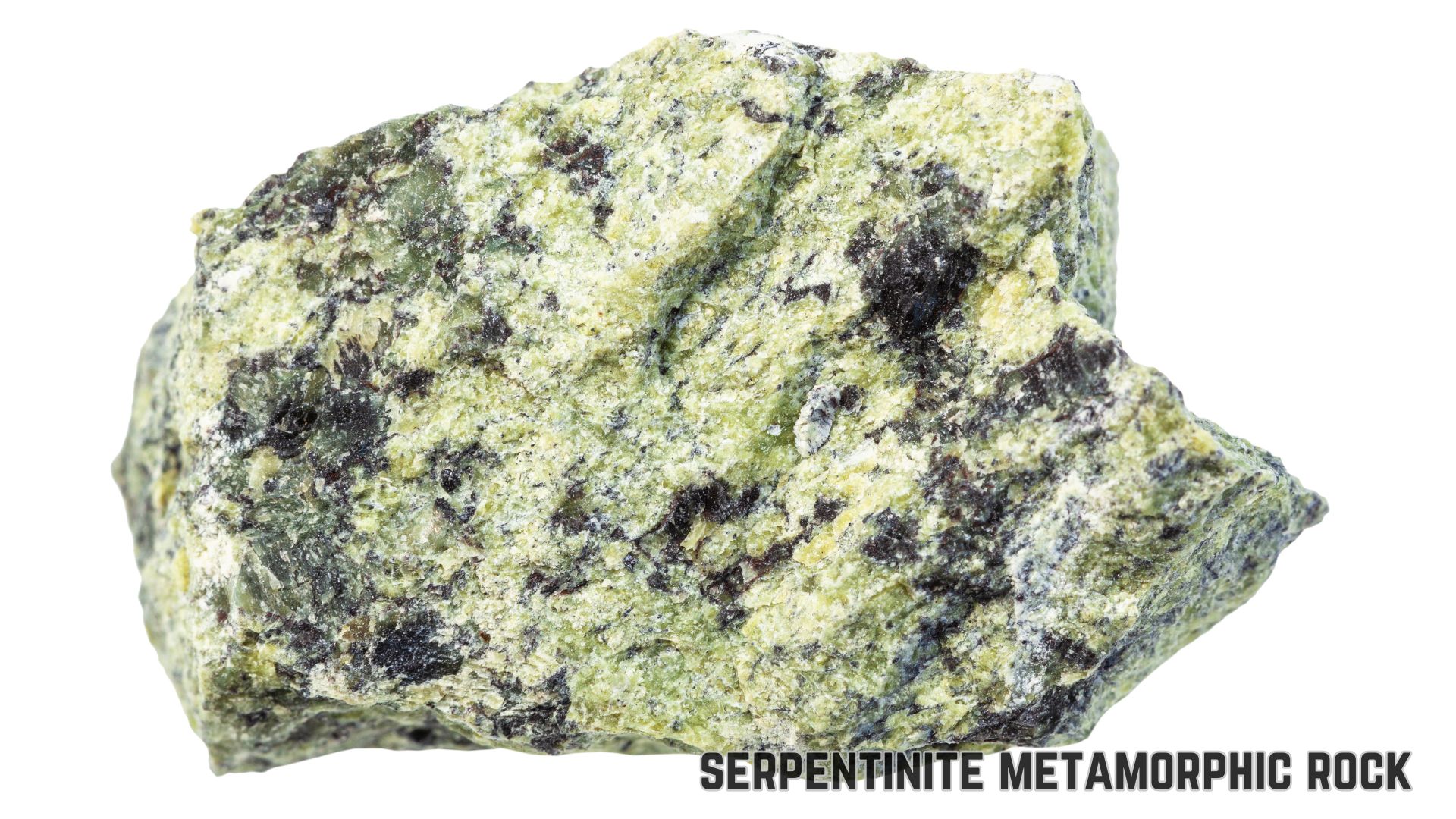 serpentinite metamorphic rock