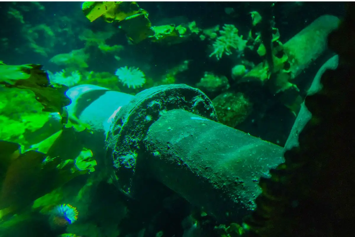 Offshore pipeline reuse for hydrogen fuel transportation could happen before decade’s end - H2 News