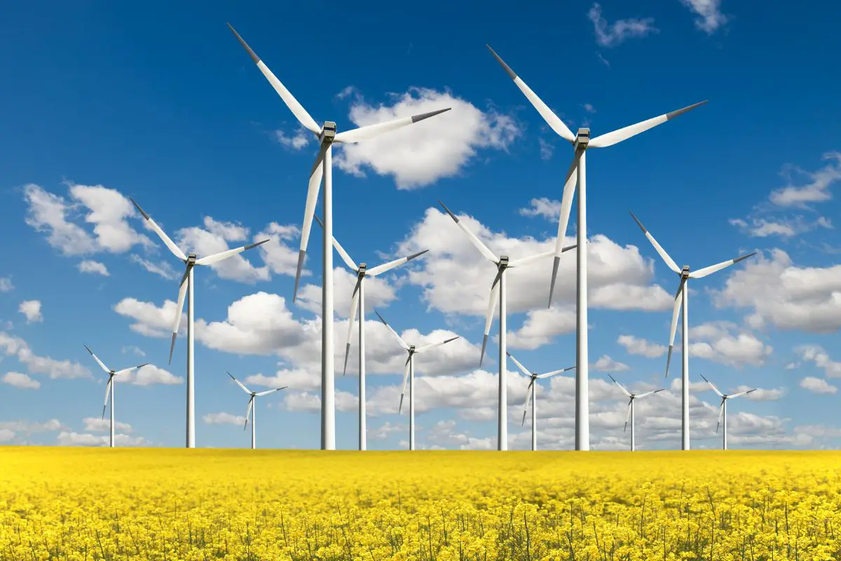 Canadian Green Hydrogen Producer Dominates with Acquisition of 3 Wind Farms in Nova Scotia