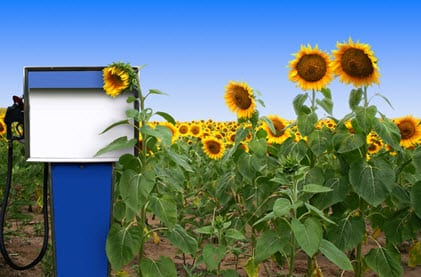 Biofuel Biofuel