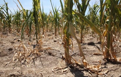 Ethanol may be a bust in the U.S. - Hydrogen Fuel News