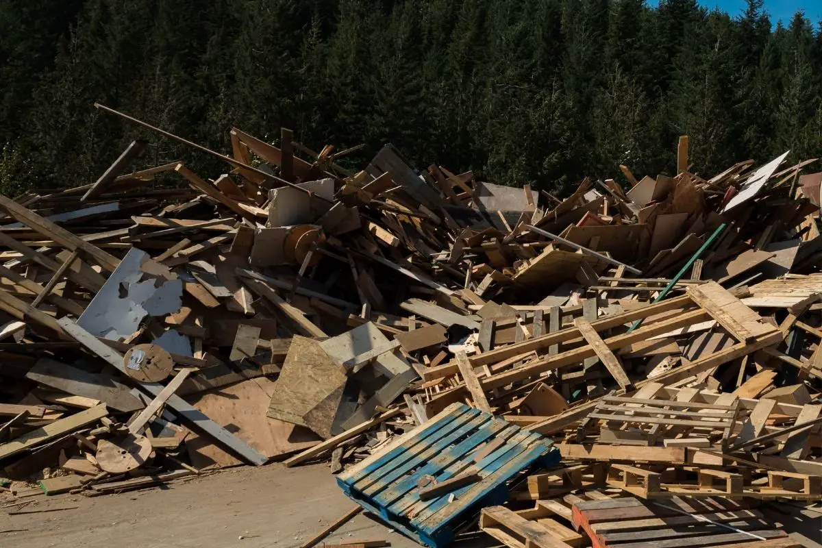 New California hydrogen fuel plant will use wood waste