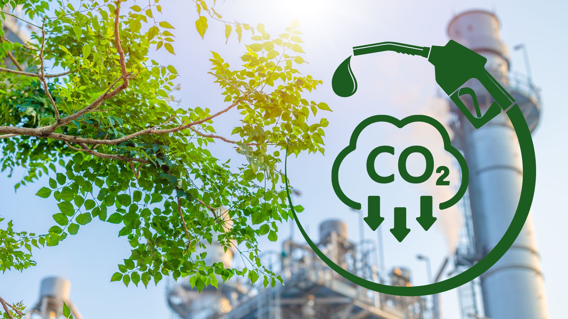 low-carbon fuel production facility