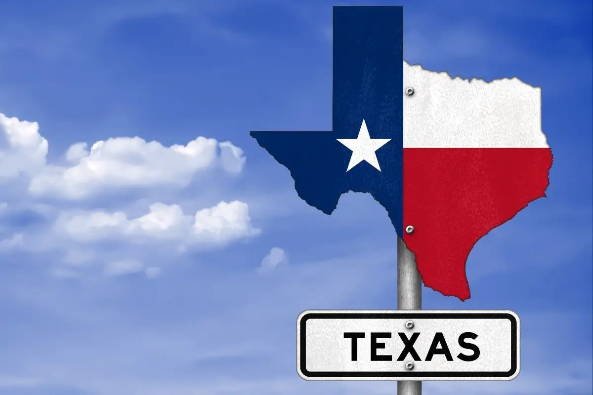 Texas will be home to the world’s biggest green hydrogen plant - H2 News