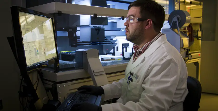 Newly developed nanostructured electrodes produce green H2