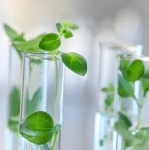Scientists focus on old chemical process to improve alternative energy systems - Hydrogen Fuel News