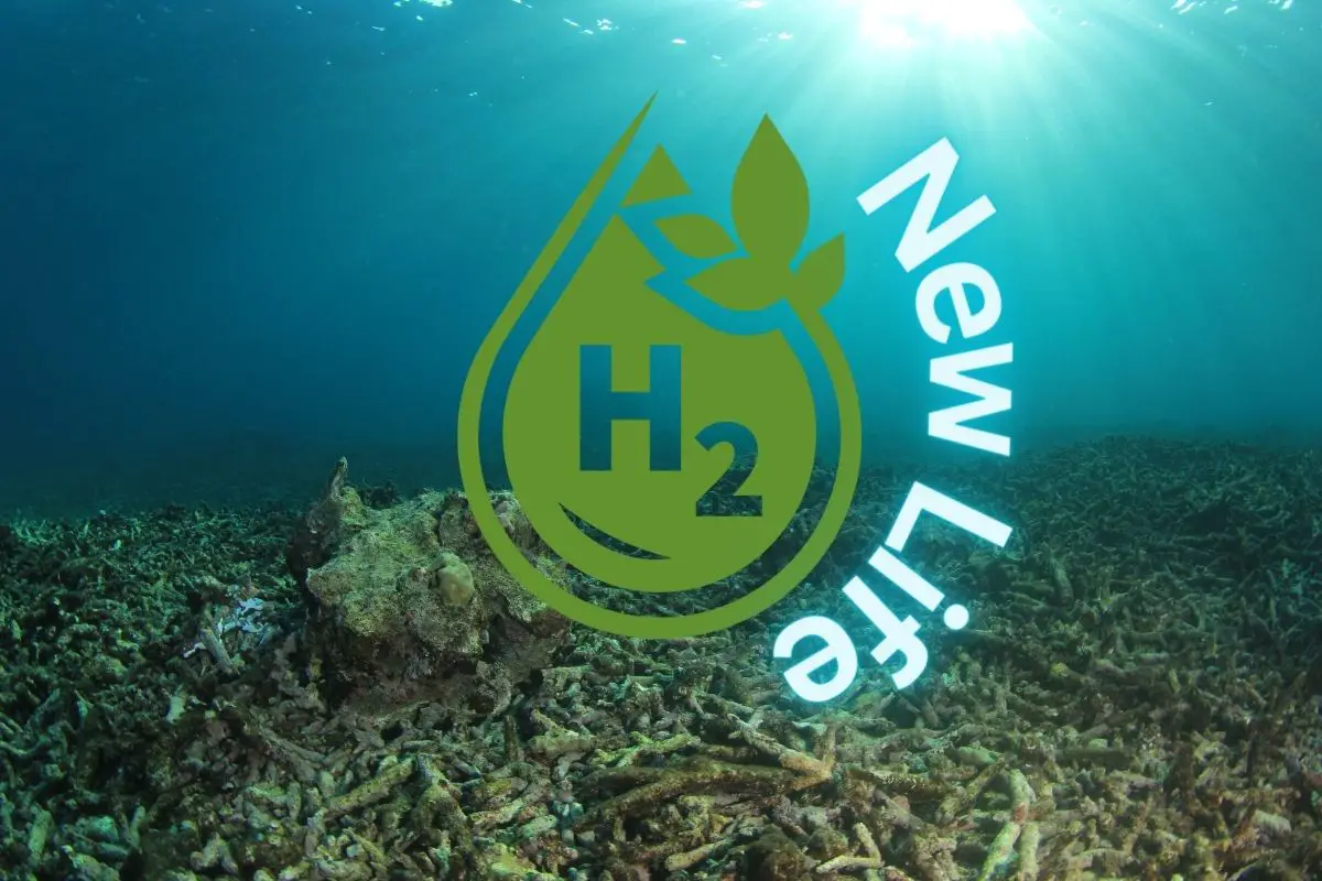 Hydrogen fuel production project could bring ocean dead zones back to life! - H2 News