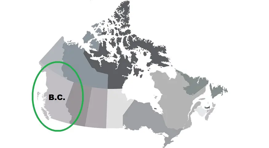 B.C. releases hydrogen strategy as first Canadian province to do so