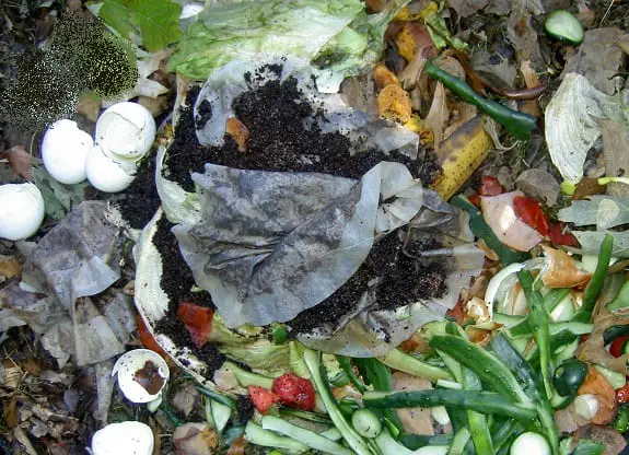 waste to energy - organic food waste recycling waste to energy - organic food waste recycling