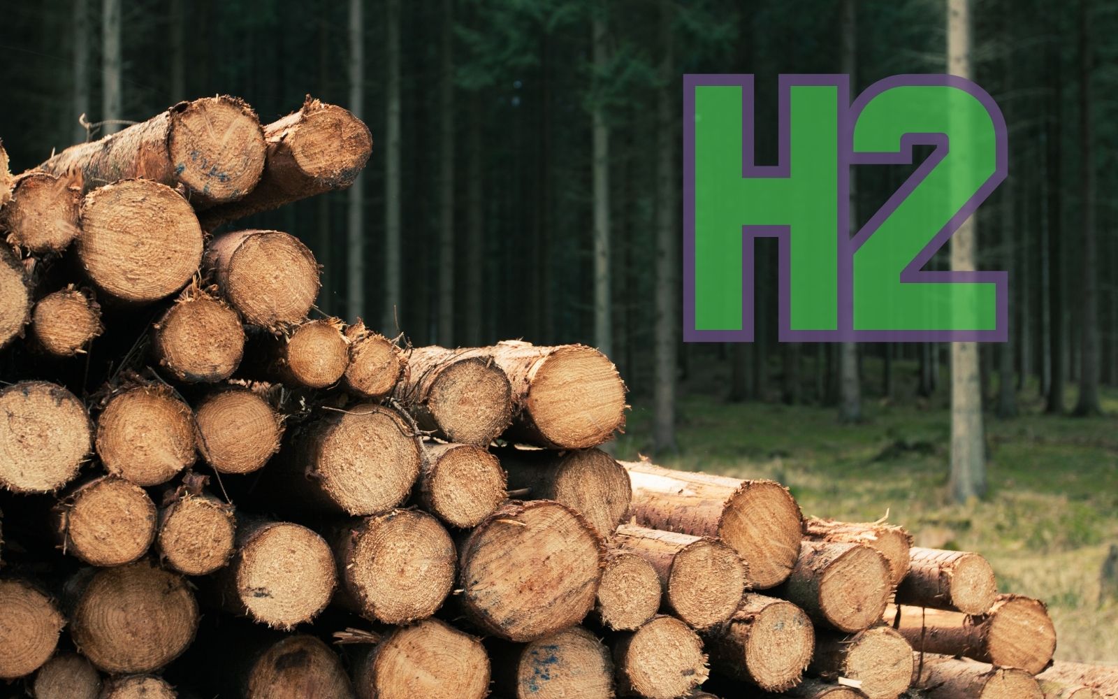 Hydrogen fuel production offers cleaner sawmill residue uses - H2 News