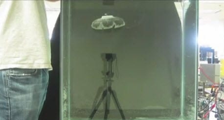 Virginia Tech researchers create a synthetic jellyfish %sep%
