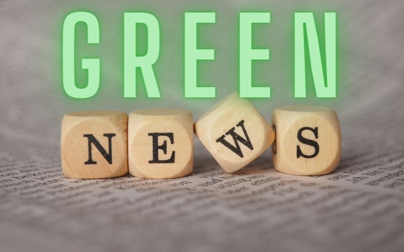 Steel decarbonisation with investment in green hydrogen
