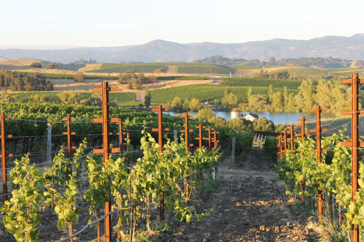 Plug Power hydrogen fuel cells to displace diesel generators in California wine country - H2 News