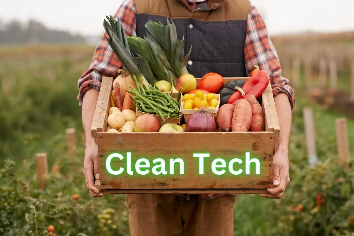 Leading green ammonia company joins the CHFCA - H2 News