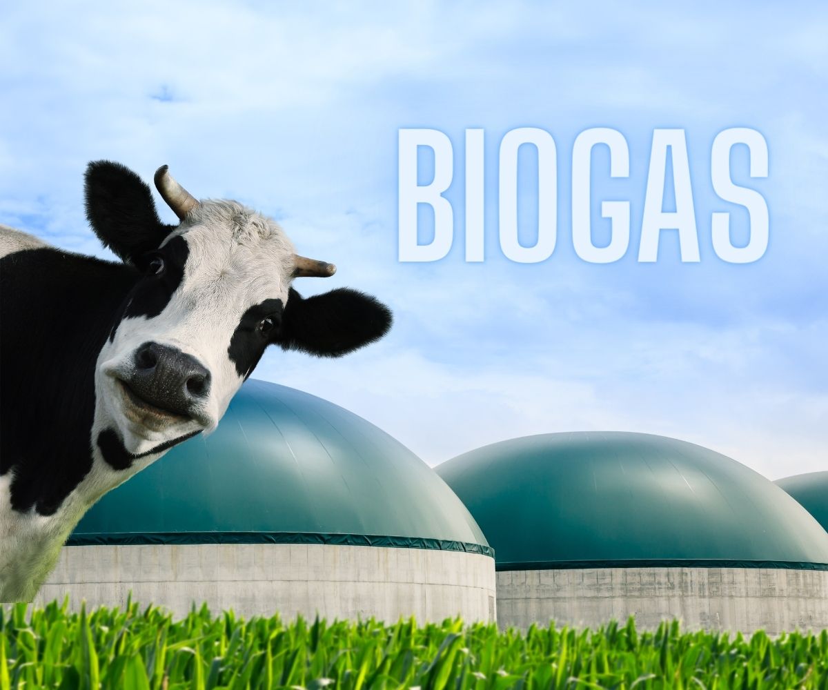 Advantages of Desulfurization in Biogas Plants - Hydrogen News