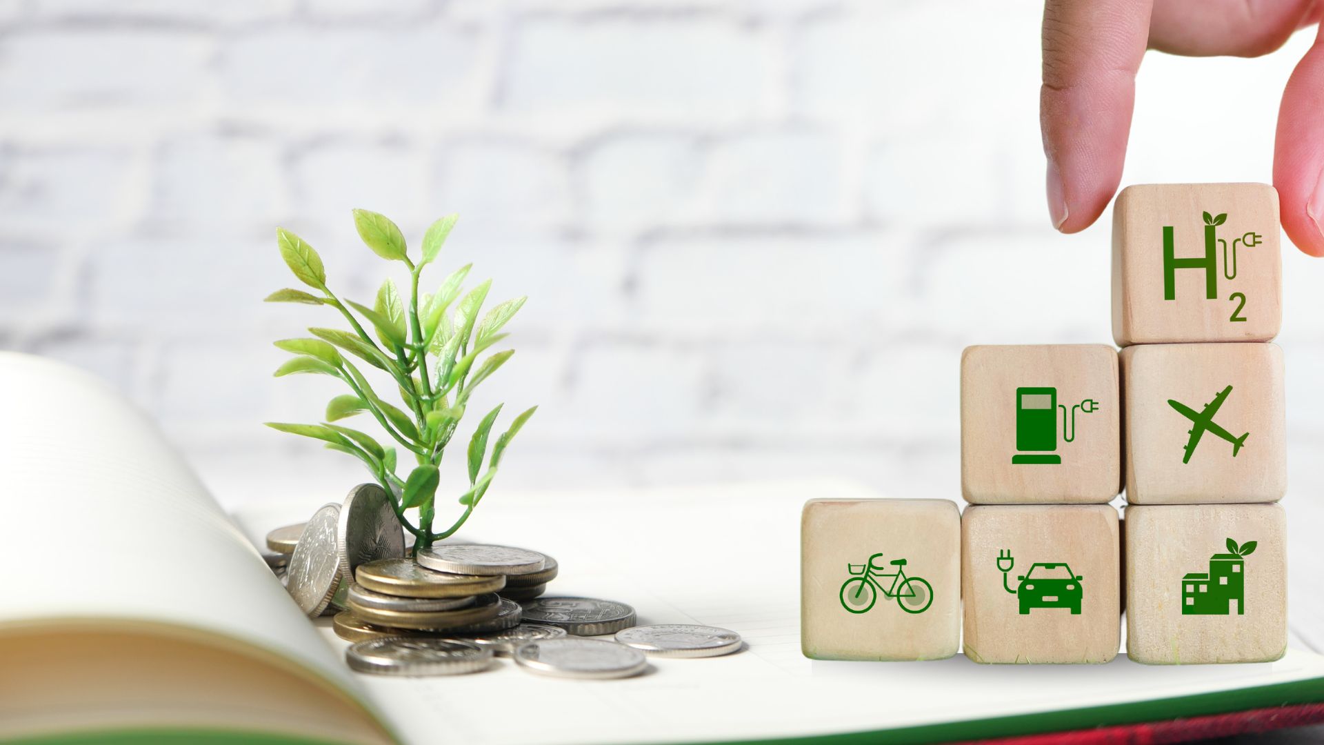 From Wood Waste to a Carbon-Negative Future: Mote Hydrogen Secures Its Big Break
